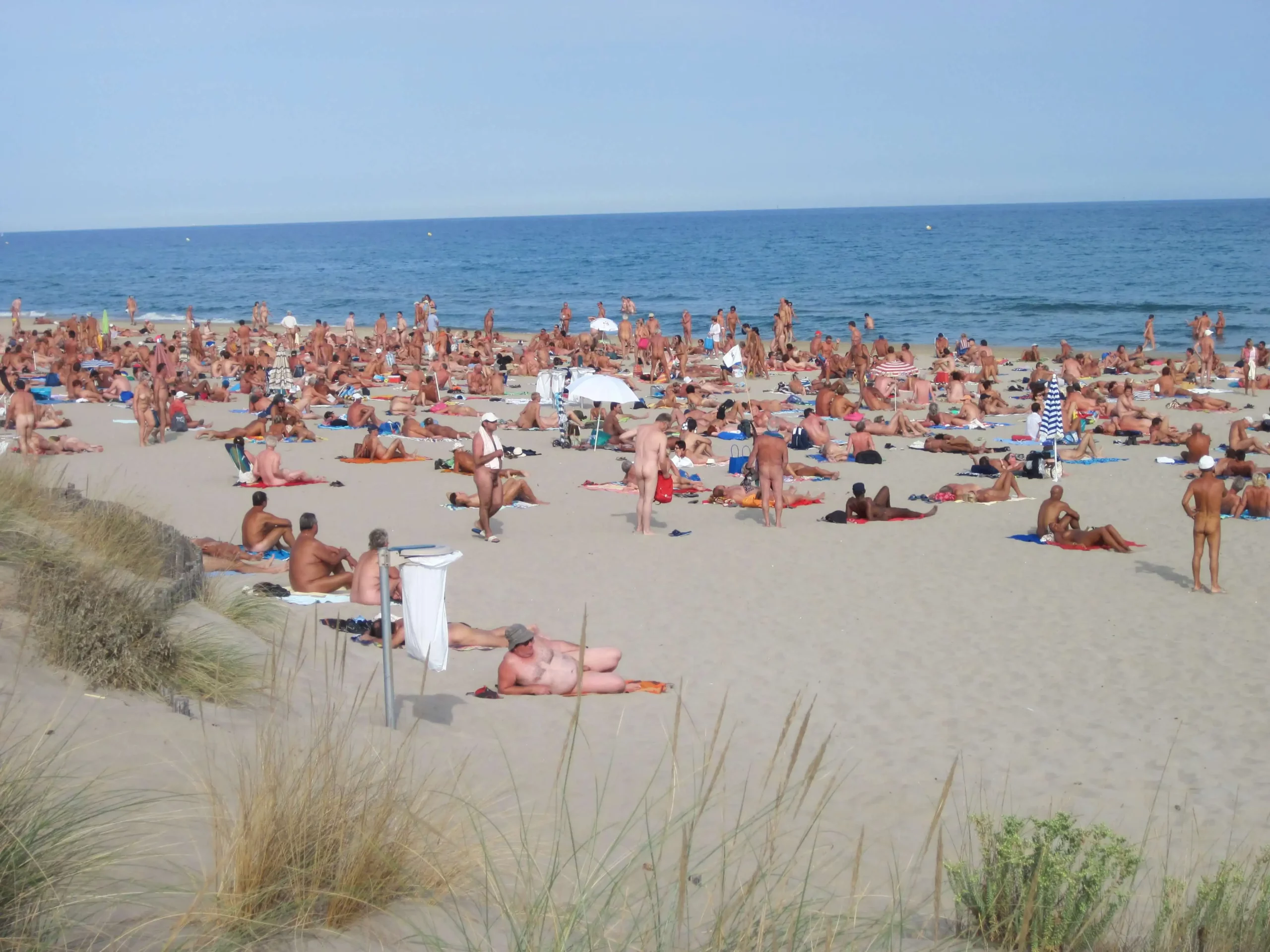 european nudist beach swinger