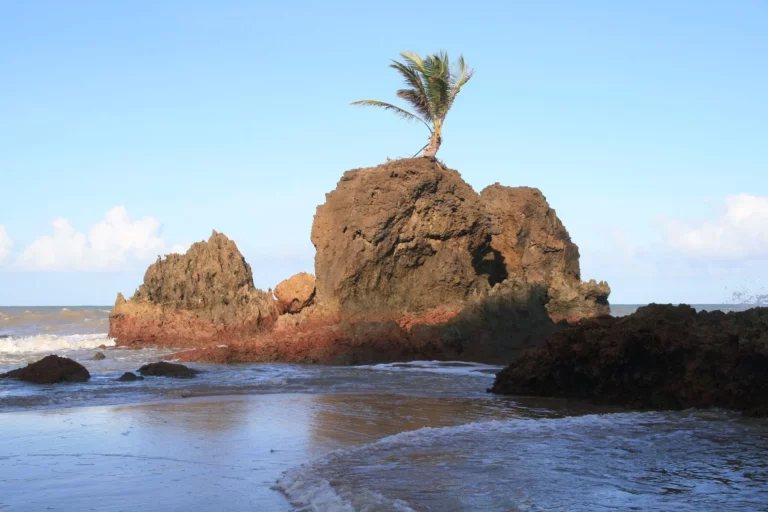 Gorgeous scenery at Tambaba Beach