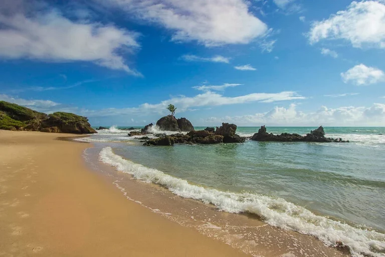 Find remote stretches of golden sand at Tambaba Nude Beach