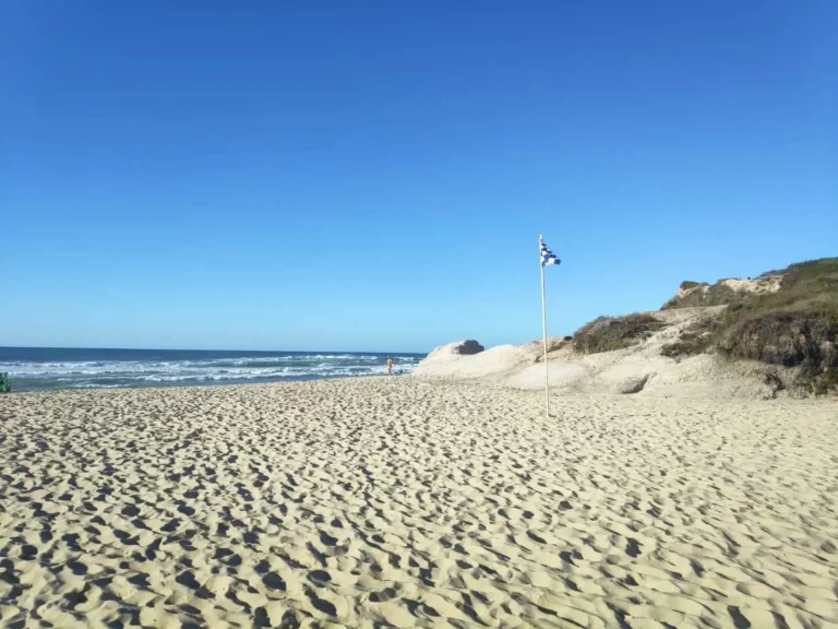 The busiest section at Praia do Rei Cortiço is right here