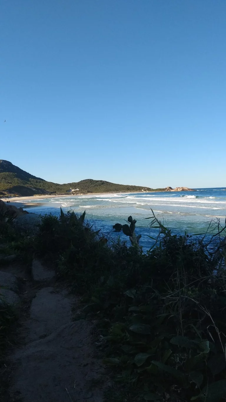 Relaxed vibes at Praia da Galheta, Brazil