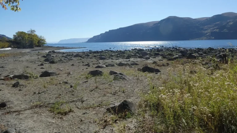 There are various small beaches at Vantage Beach, all have different views and vibes