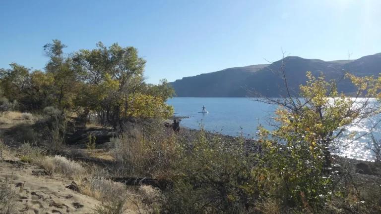 Bring a padded blanket. The shoreline can be uneven with sharp rocks.