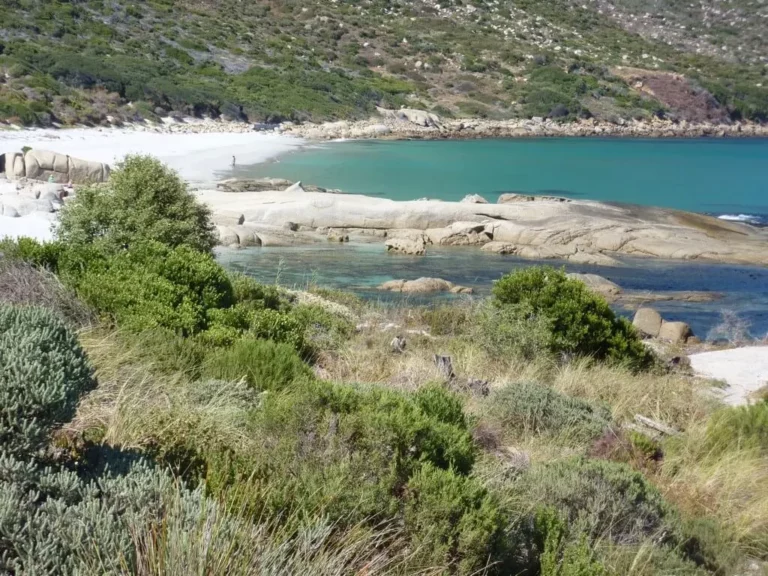 Nature rules at Sandy Bay nude beach