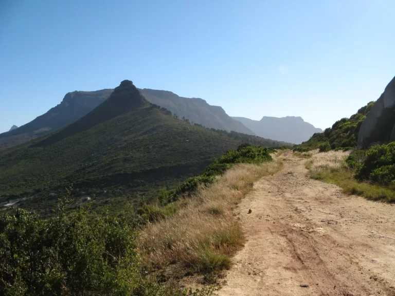 The rough trail above the beach