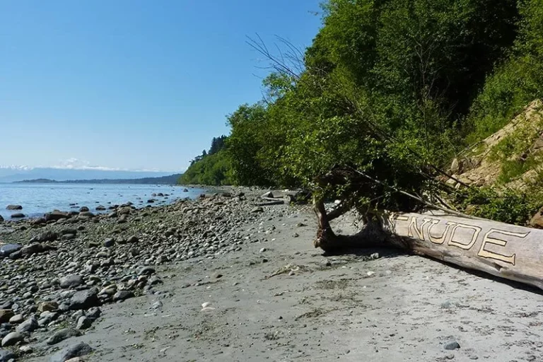 Wittys Nude Beach 401 768x512