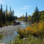 Barely a 'beach' but a relaxing place that is clothing optional