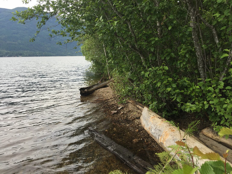 The main section of Nipple Point Beach