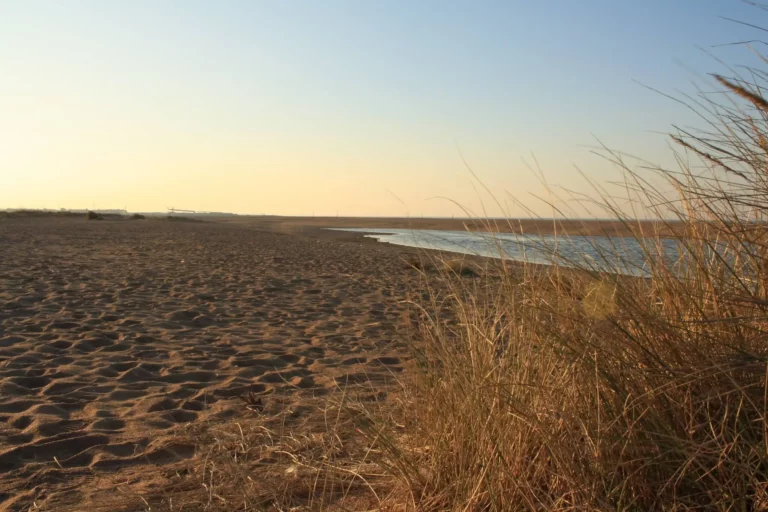 The wide beach of Plage de La Redoute