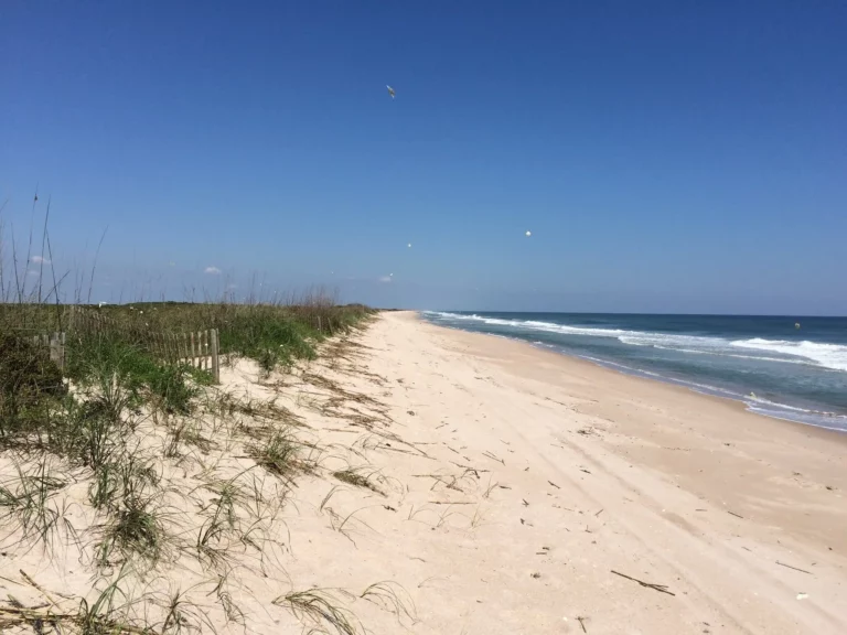 Playalinda Beach is a long stretch of sand!