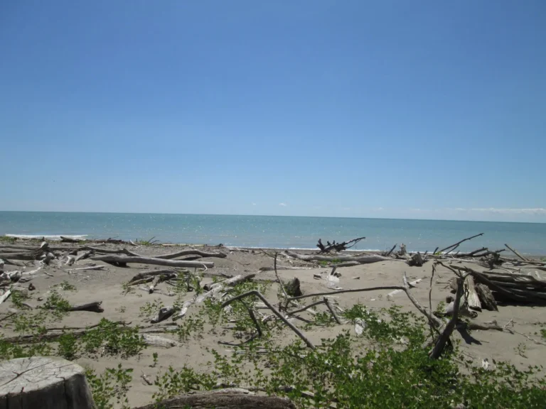 The beach gets larger and water levels lower as summer progresses