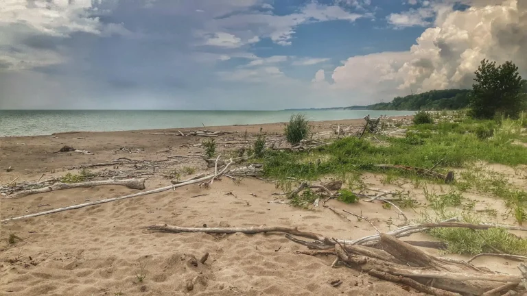 One of a few places to get naked (legally) on Lake Erie