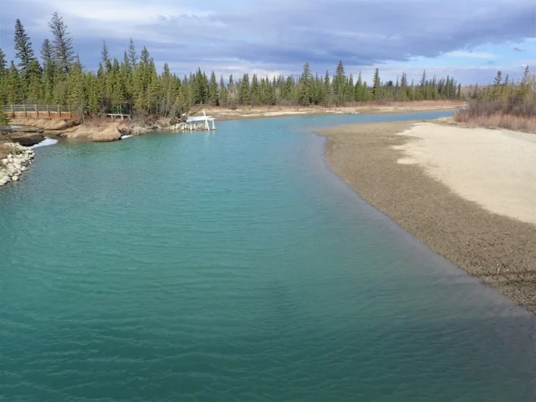 Plenty of beach and clean water at Weaselhead Flats