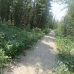 Start of the trail to Weaselhead Flats