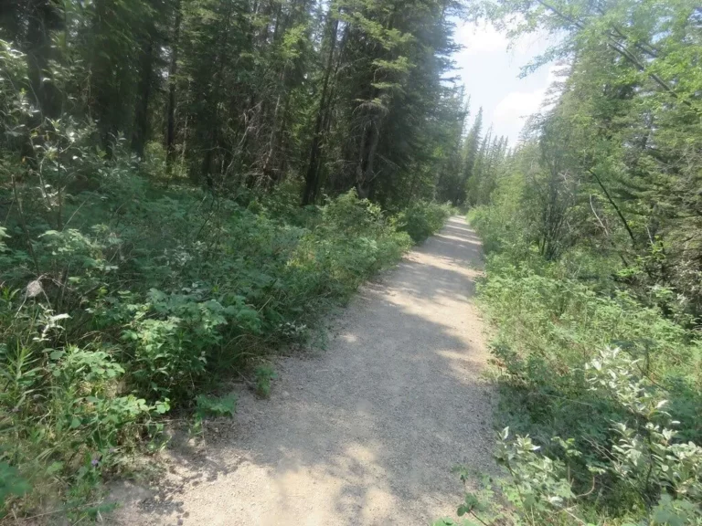 Start of the trail to Weaselhead Flats