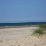 Sand and lots of it!! Holkham Hall Beach