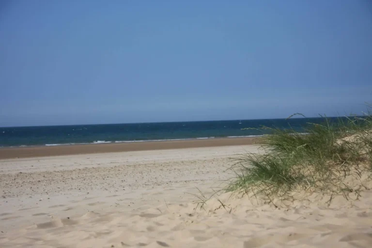 Sand and lots of it!! Holkham Hall Beach