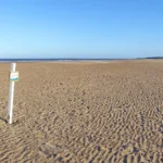 High tide and most of this area is covered with water