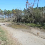 The dirt road to access the mid section of the beach (not recommended)