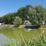 Surrounded by green at Camping Petit Arlane