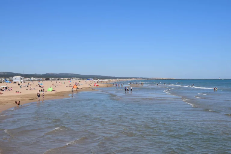 A busy day at the beach