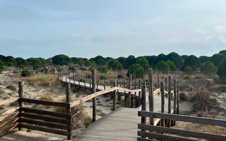 The walk over the dunes to Plage de l'Espiguette