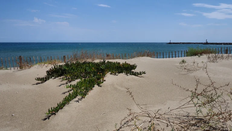 Summer here can get busy at Port-Leucate Naturist Beach