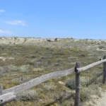 The short walk across the dunes to Plage Naturiste de Torreilles