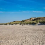 Extensive sand dunes behind Bredene Nude Beach