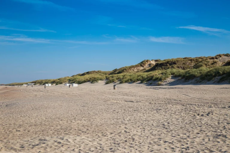 Extensive sand dunes behind Bredene Nude Beach