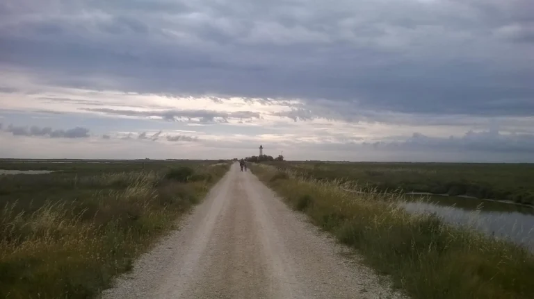 The rough road to the beach, passable by most cars